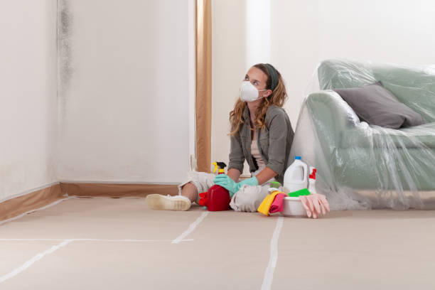 Reliable Commercial Mold Remediation contractor in Grand Rapids, MI by WQB Mold Removal